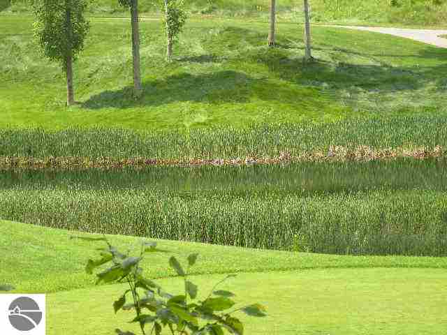 Lot 144 Falcons Spur Property Photo 3