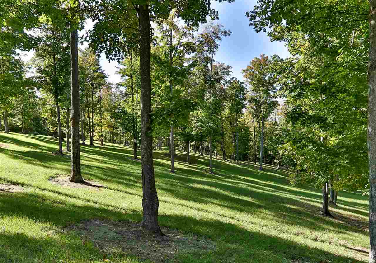 0 Timberlee Drive Property Photo 11