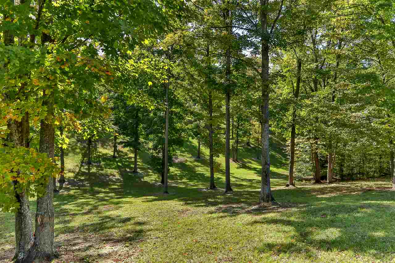 0 Timberlee Drive Property Photo 13