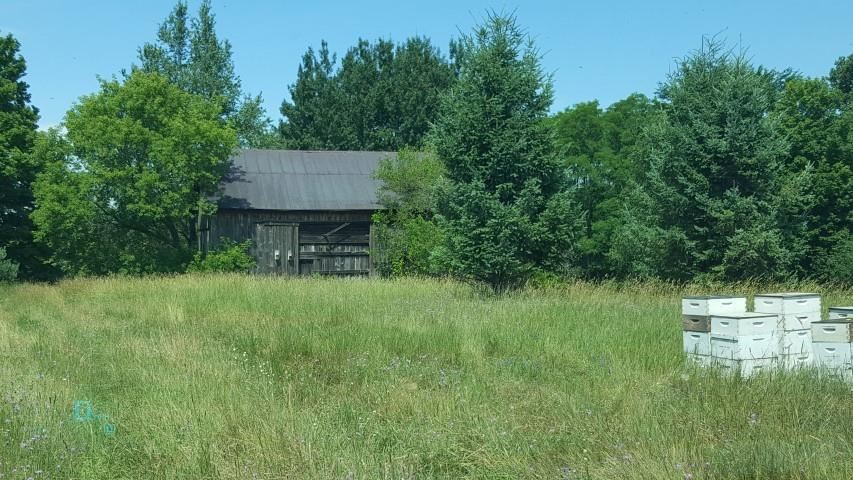 Parcel B Cemetery Road Property Photo 2