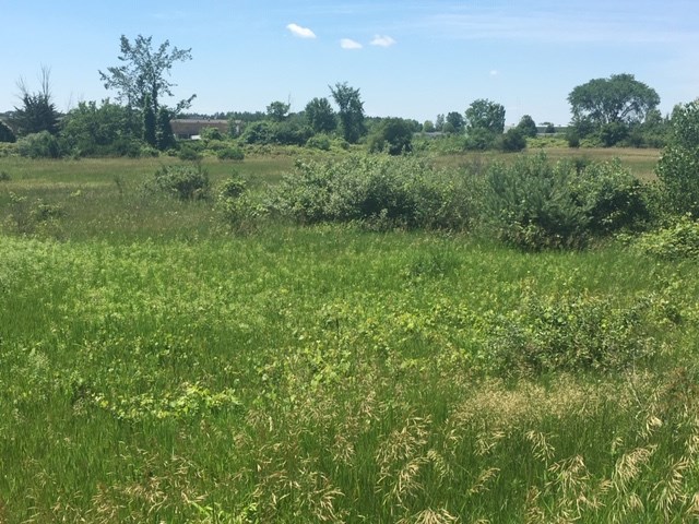 5684 E Broadway Road Property Photo 5