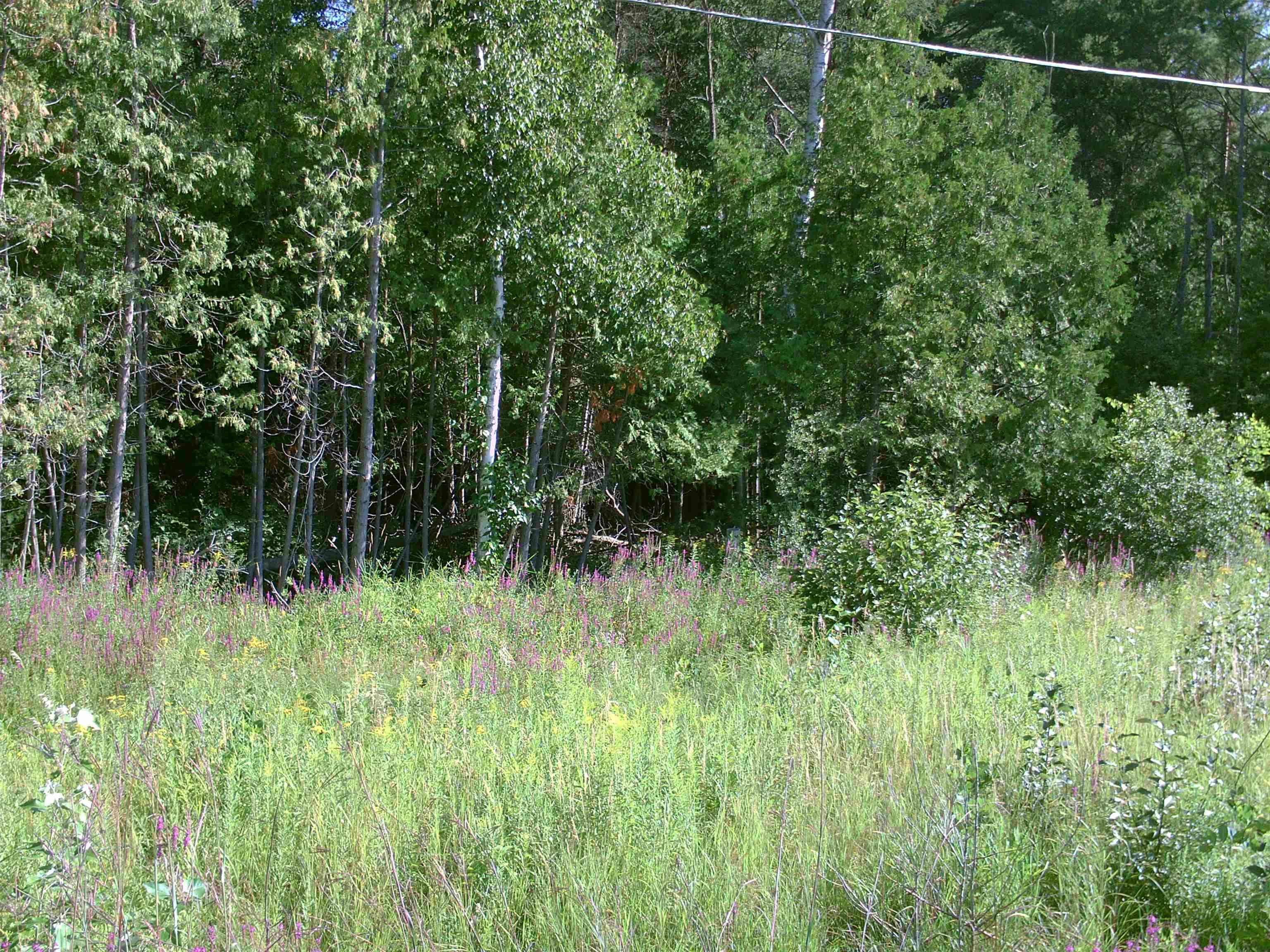 0 M-55 Property Photo 1