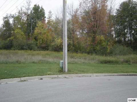 1005 Saw Mill Court Property Photo 2
