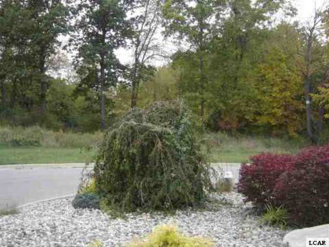 1003 Saw Mill Court Property Photo 3