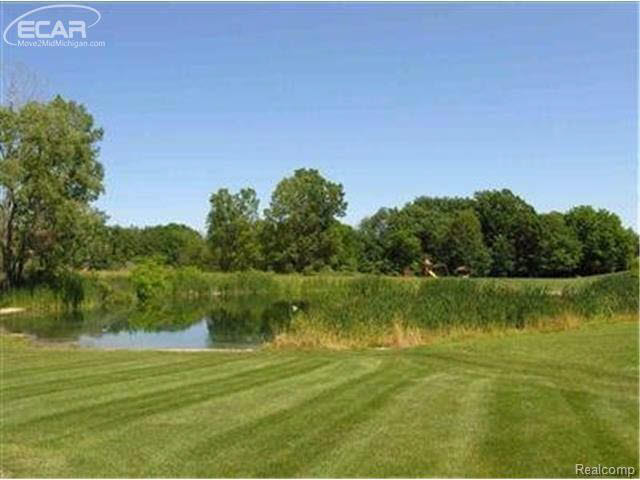 6296 Bridle Path Property Photo 4