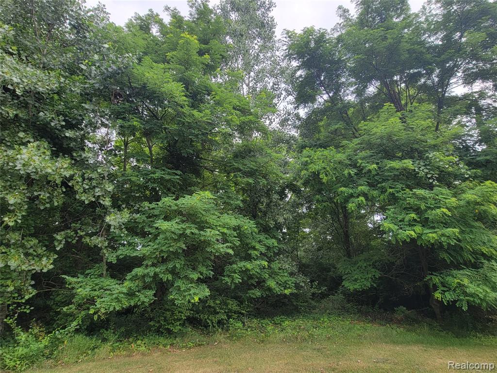 Lot 21 - Rexford Court Property Photo 1