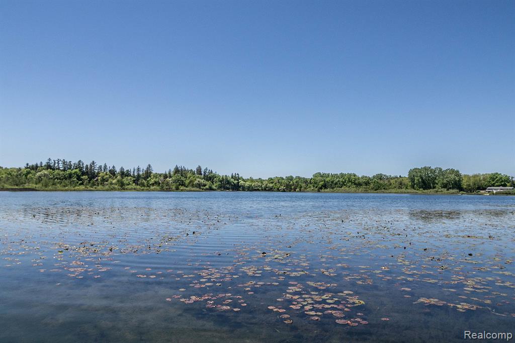 Lot 21 - Rexford Court Property Photo 3