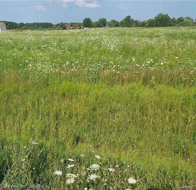 0 Capac Road Property Photo 1