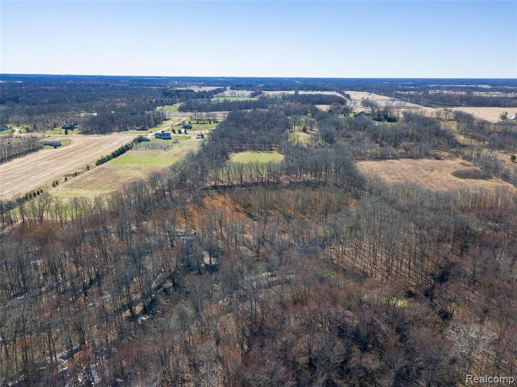 12247 Onondaga Road Property Photo 10