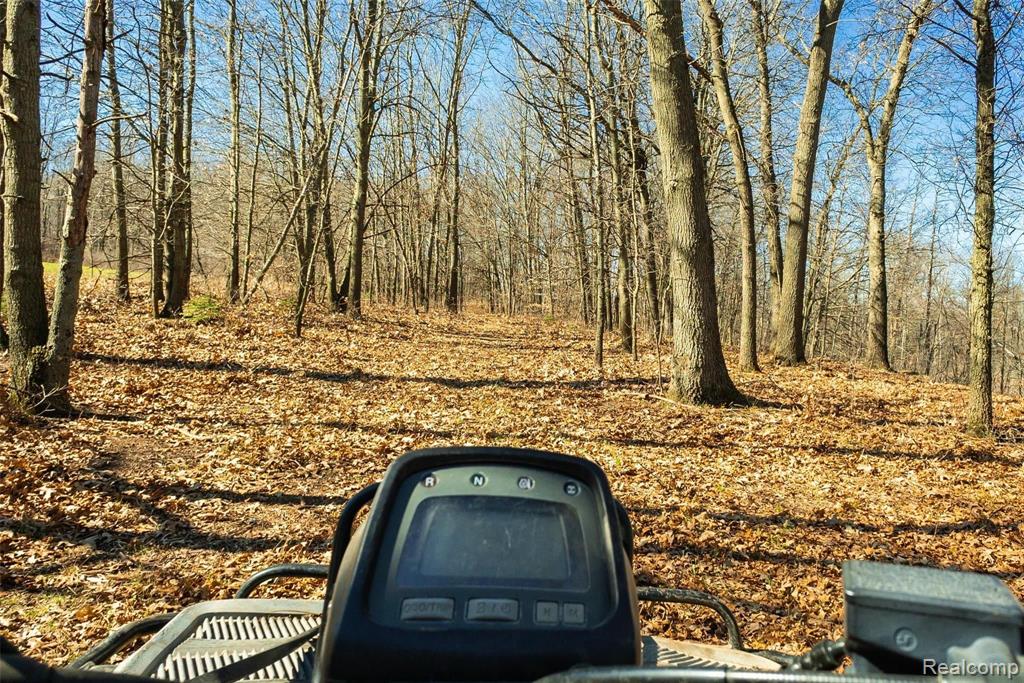 12247 Onondaga Road Property Photo 18