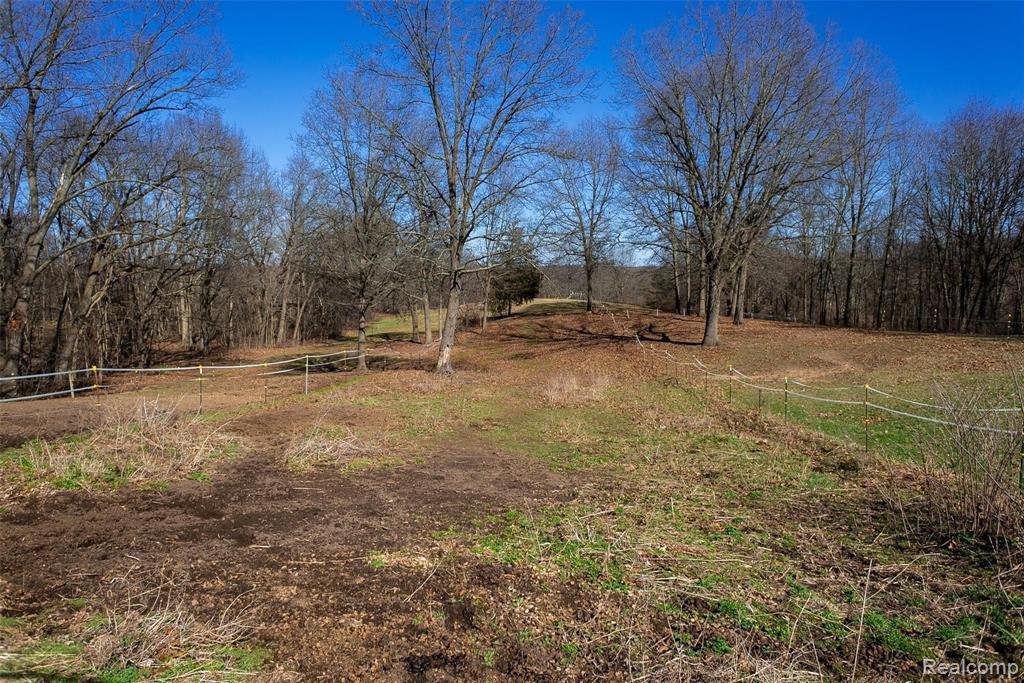 12247 Onondaga Road Property Photo 21