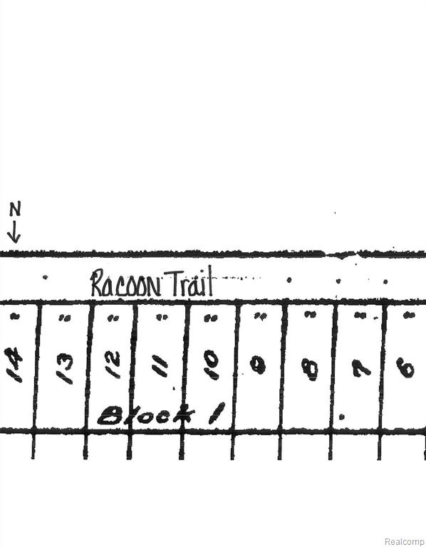 0 Racoon Trail Property Photo 2