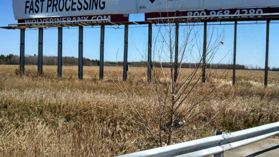 Lot A N Waldo Road Property Photo 4