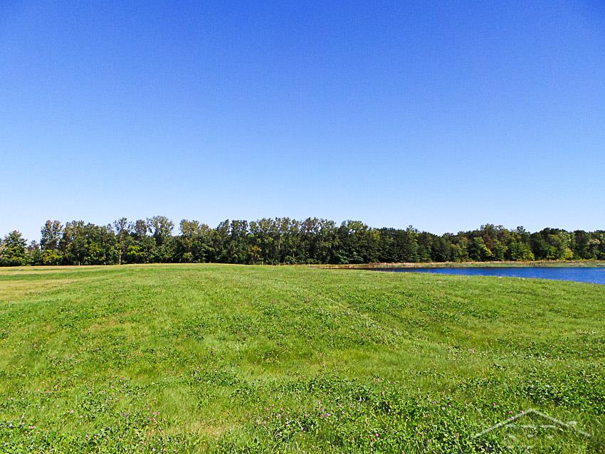 7863 Sheridan Rd. Lot 4 Road Property Photo 3