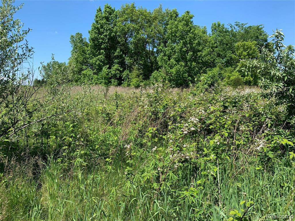 6157 High Valley Drive Property Photo 4