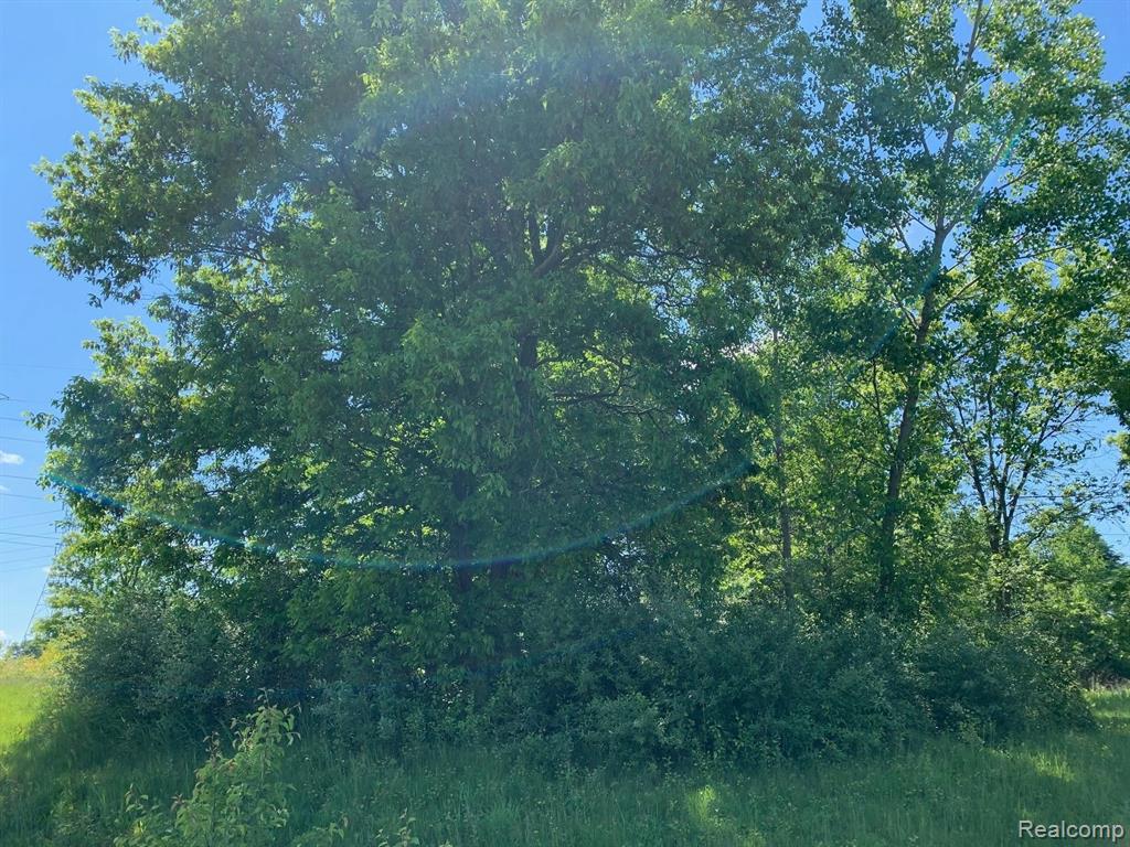 6157 High Valley Drive Property Photo 5