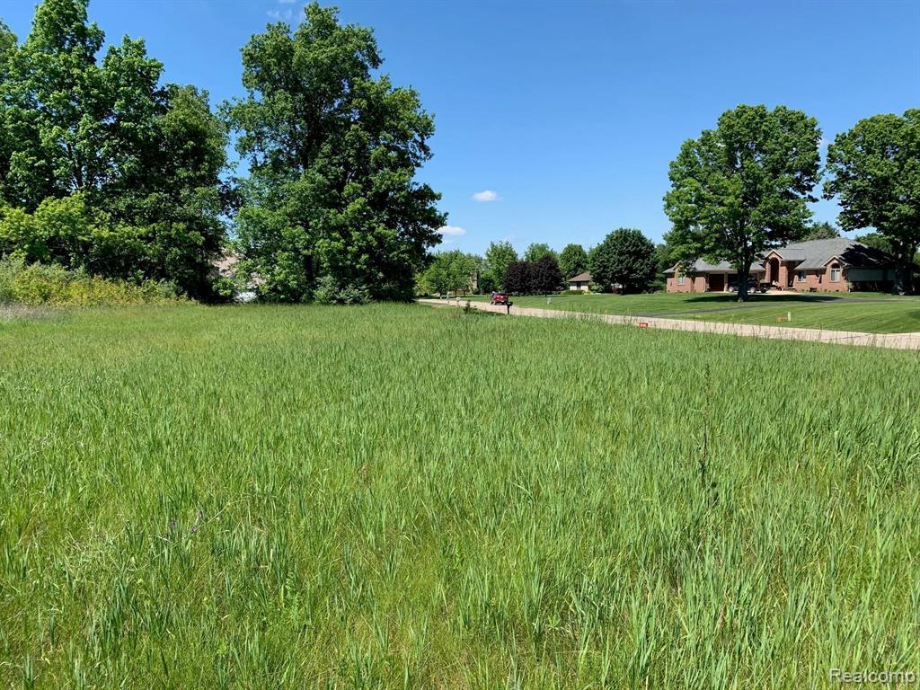 6157 High Valley Drive Property Photo 6
