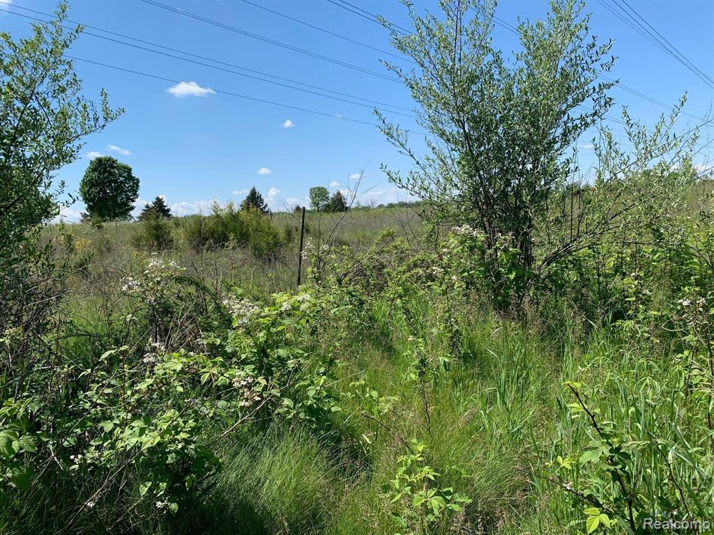 6157 High Valley Drive Property Photo 8