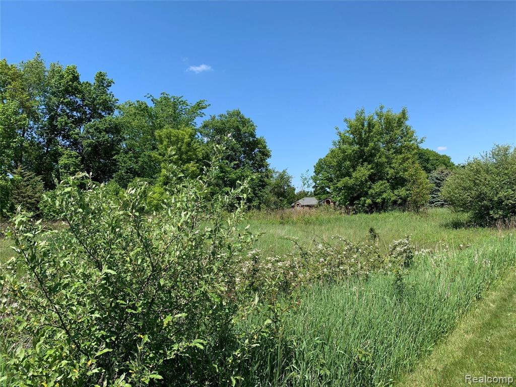 6157 High Valley Drive Property Photo 9