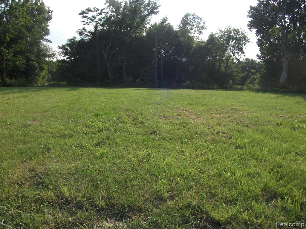 1131 Newport Property Photo 4