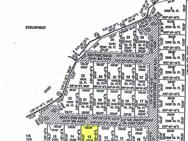 13 White Pine Ridge Property Photo 2
