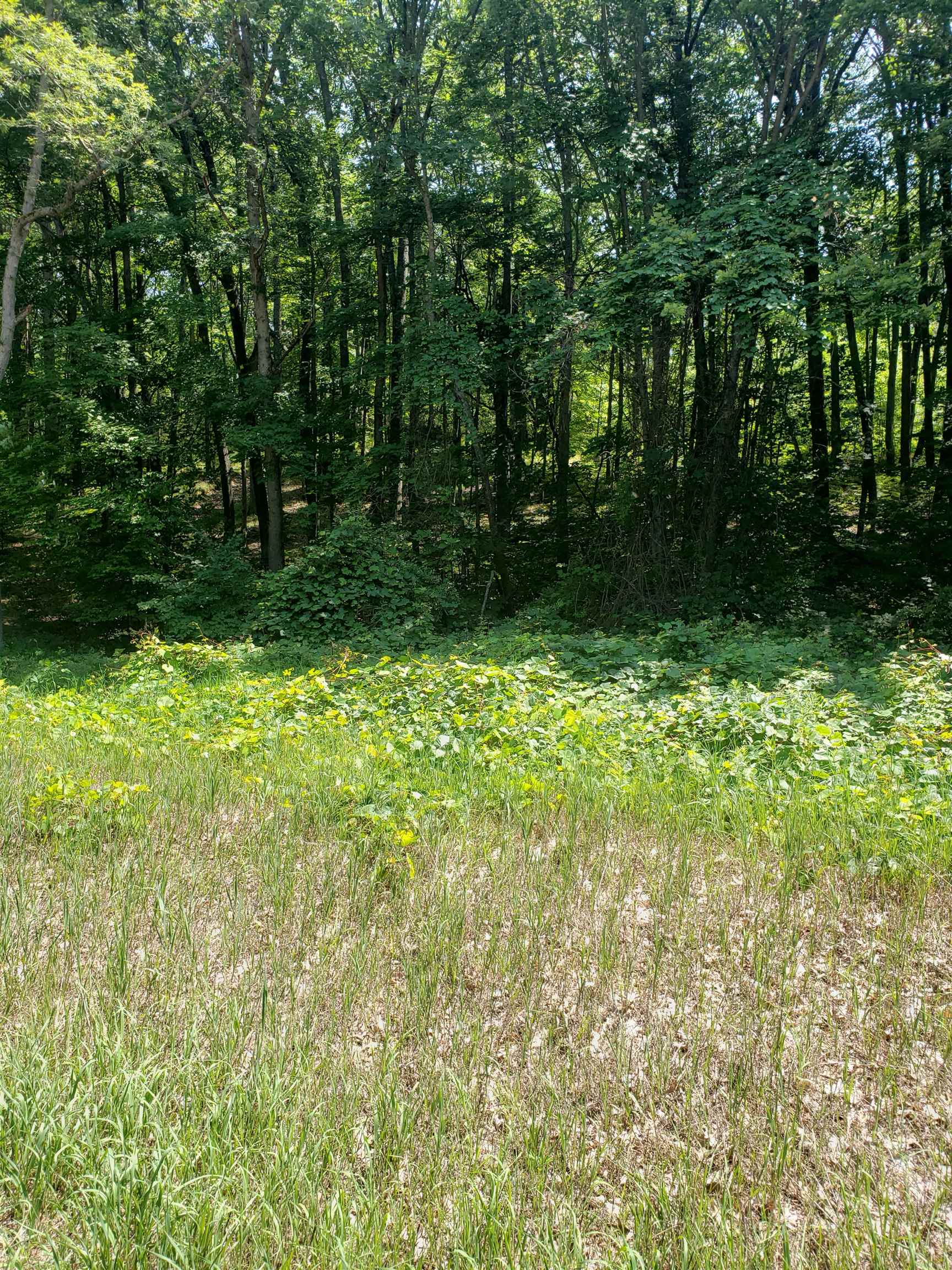 41038961 Property Photo 1