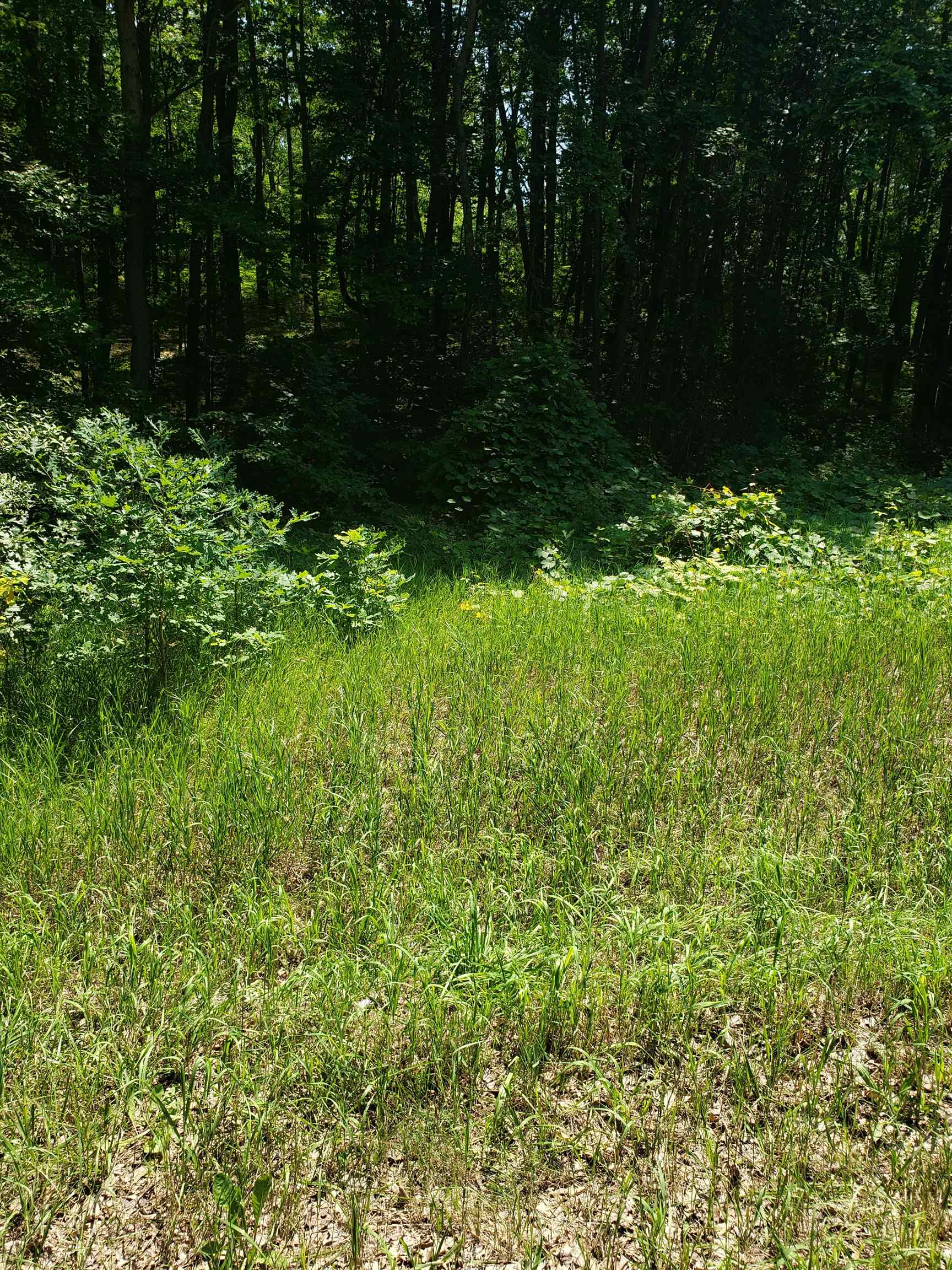 41038961 Property Photo 3