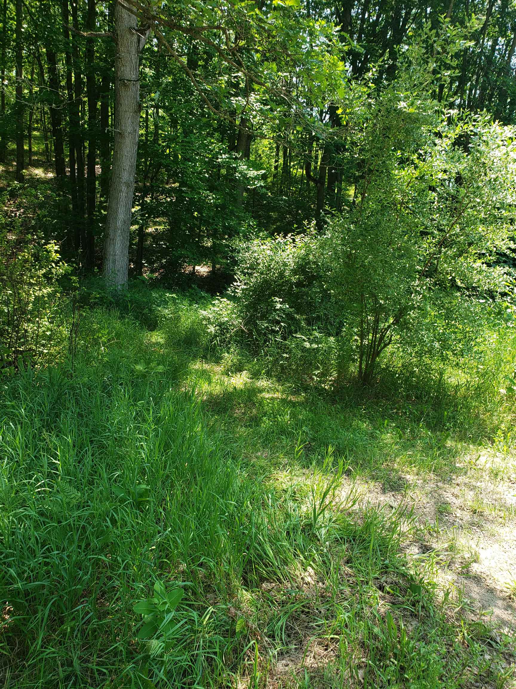41038961 Property Photo 4