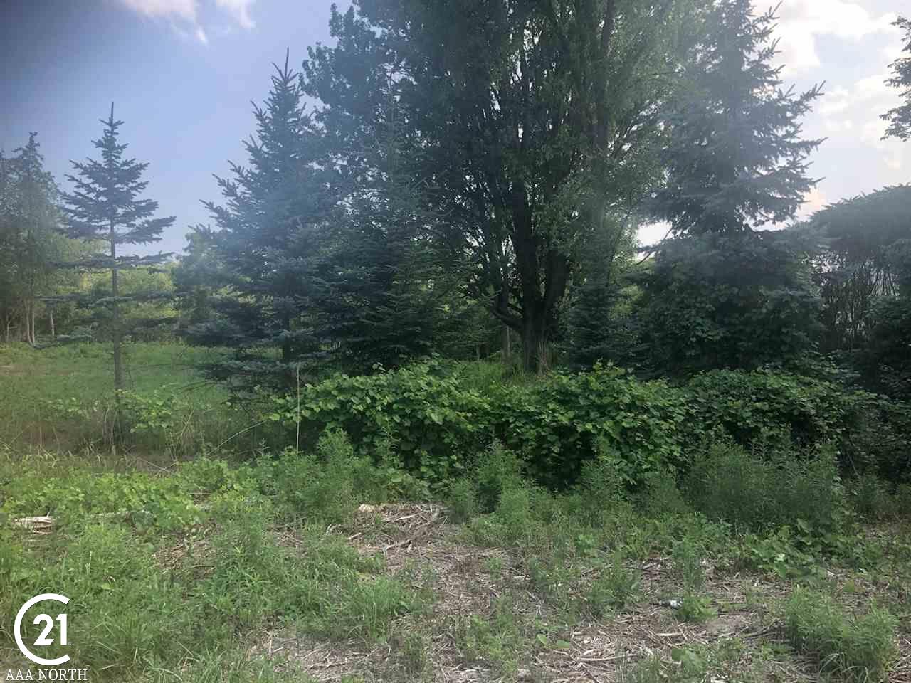 0 31 Mile Rd. Parcel 3 Property Photo 1
