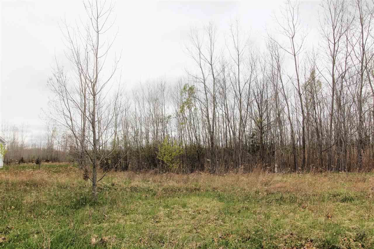 7136 Saratoga Drive Property Photo 2