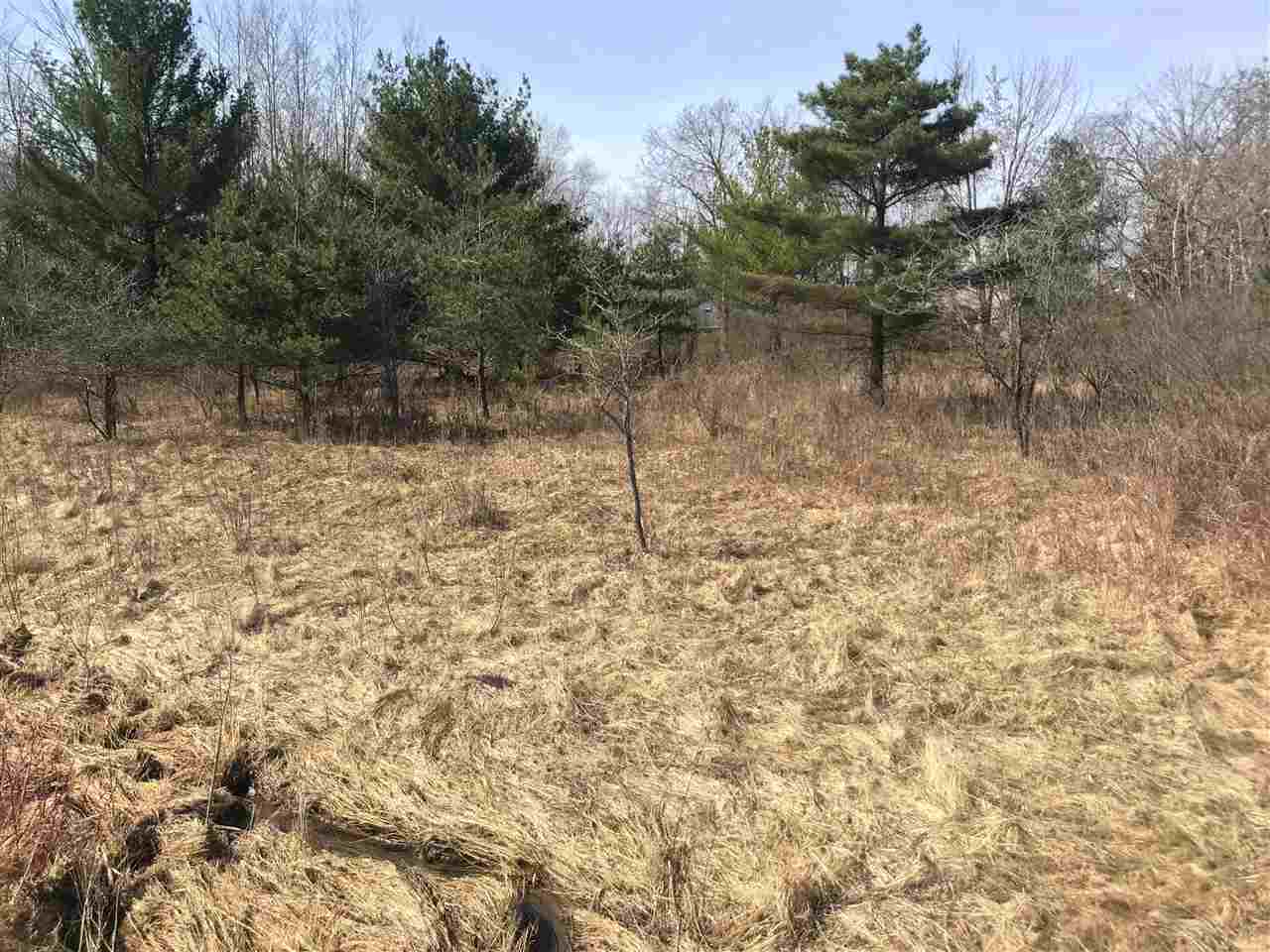 291 Track Iron Trail Property Photo 2