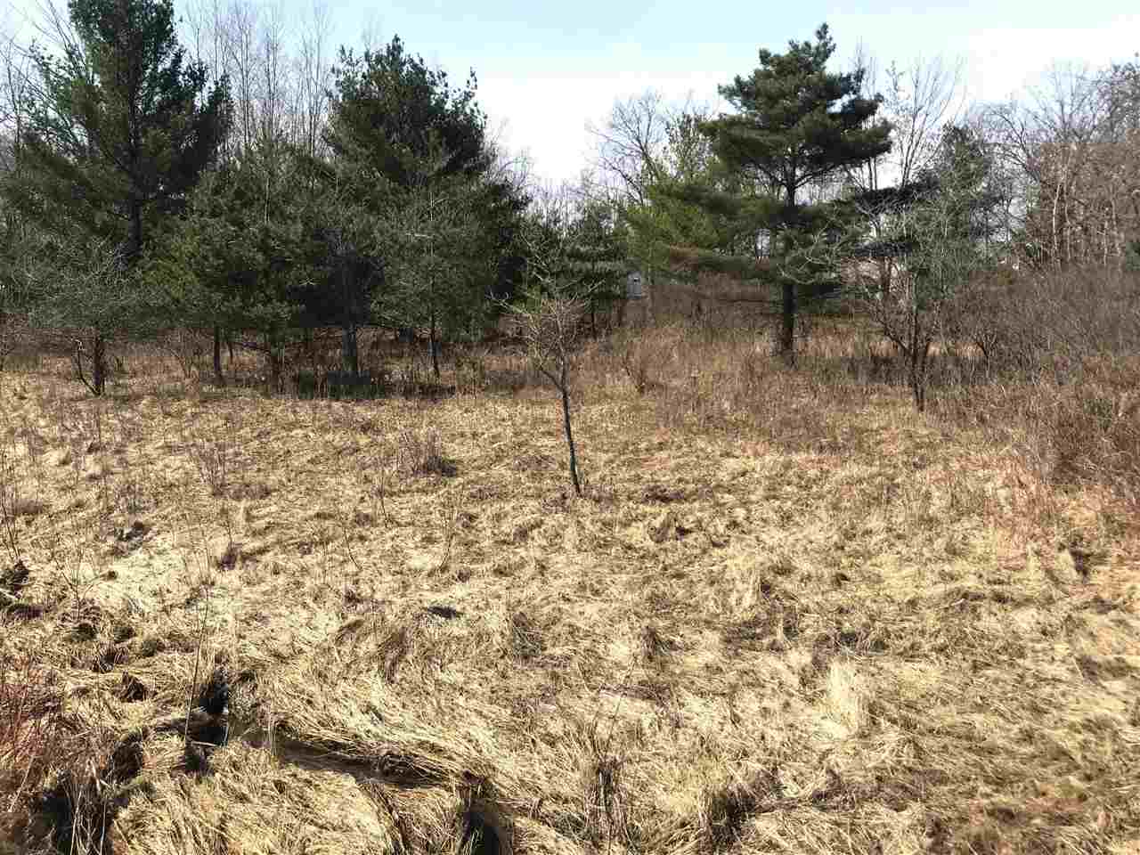 291 Track Iron Trail Property Photo 3