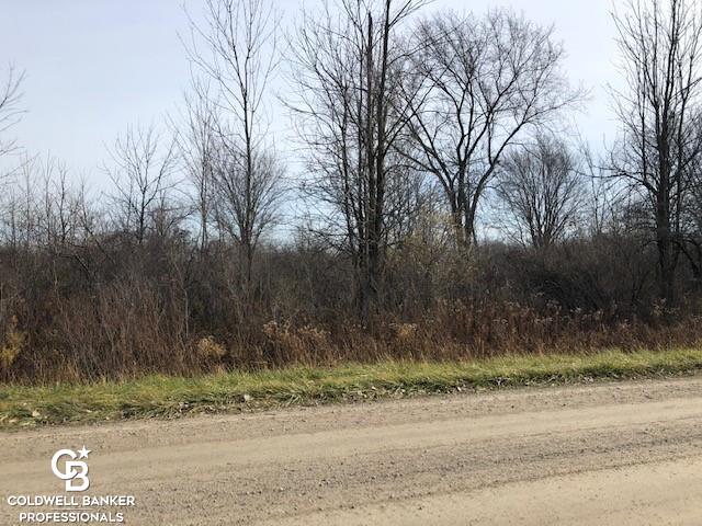 00 Cowhy Rd. Parcel 