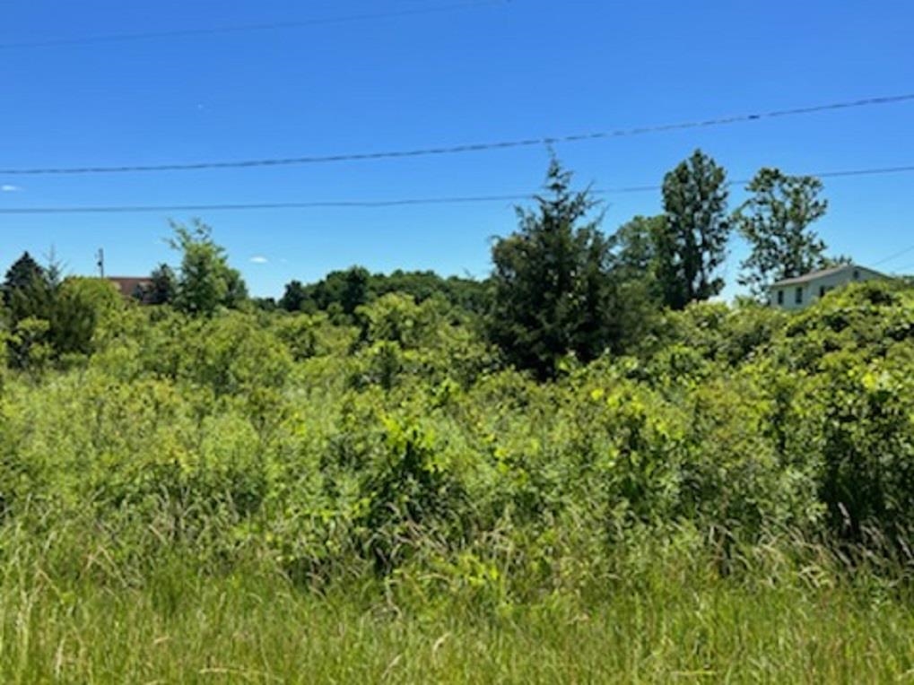 0 E Wilson Road Property Photo 1