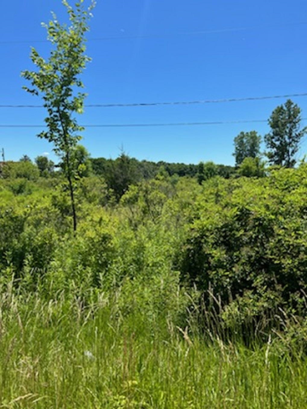 0 E Wilson Road Property Photo 2