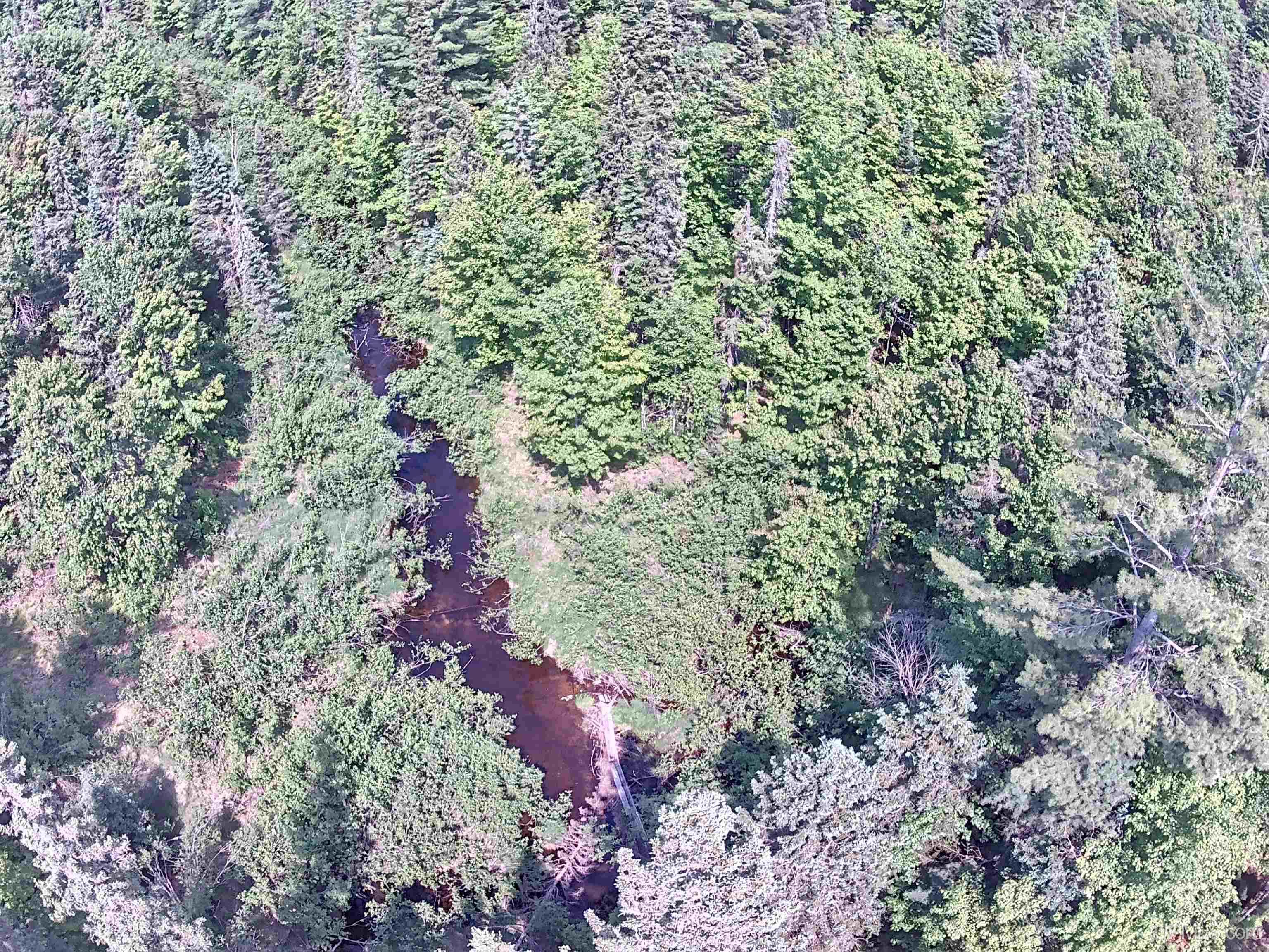 80 Acres Off Co Rd 510 Road Property Photo 1