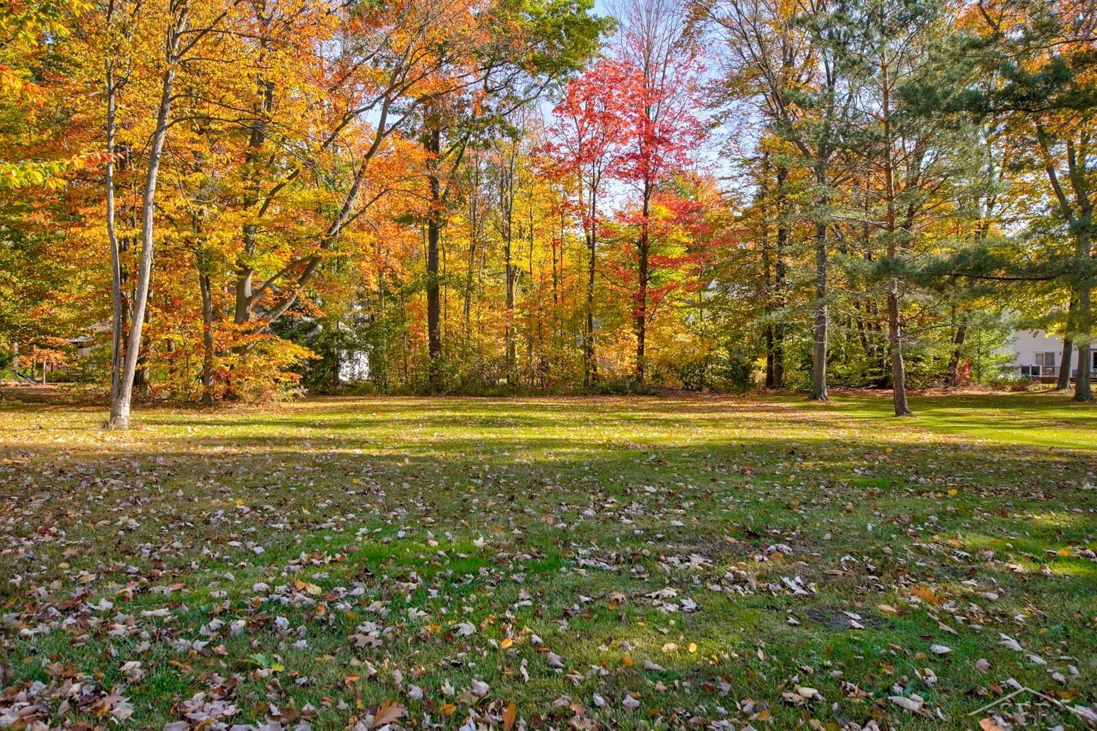 79 Deer Trail Property Photo 5