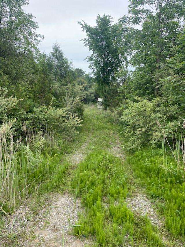 00 M 25 Highway Property Photo 7