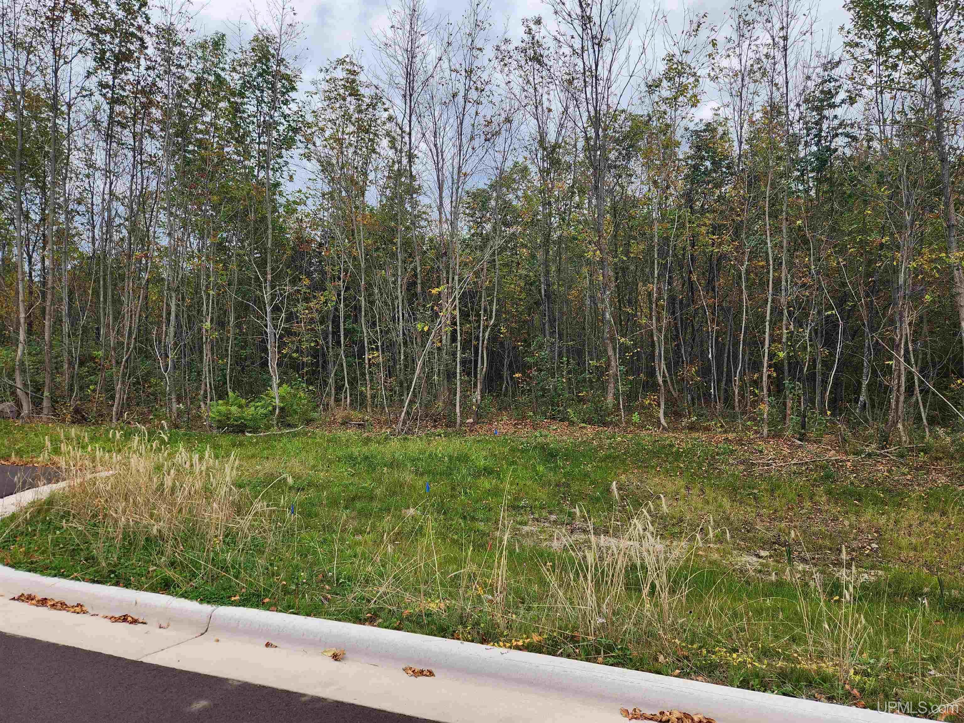 Tbd3 Dolomite Drive Property Photo 33