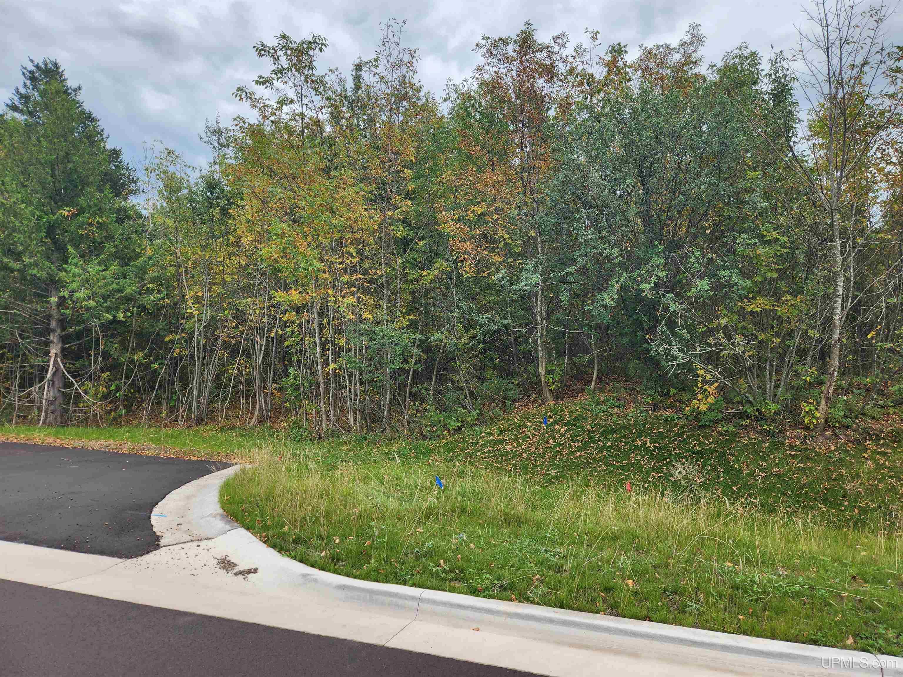 Tbd5 Dolomite Drive Property Photo 32