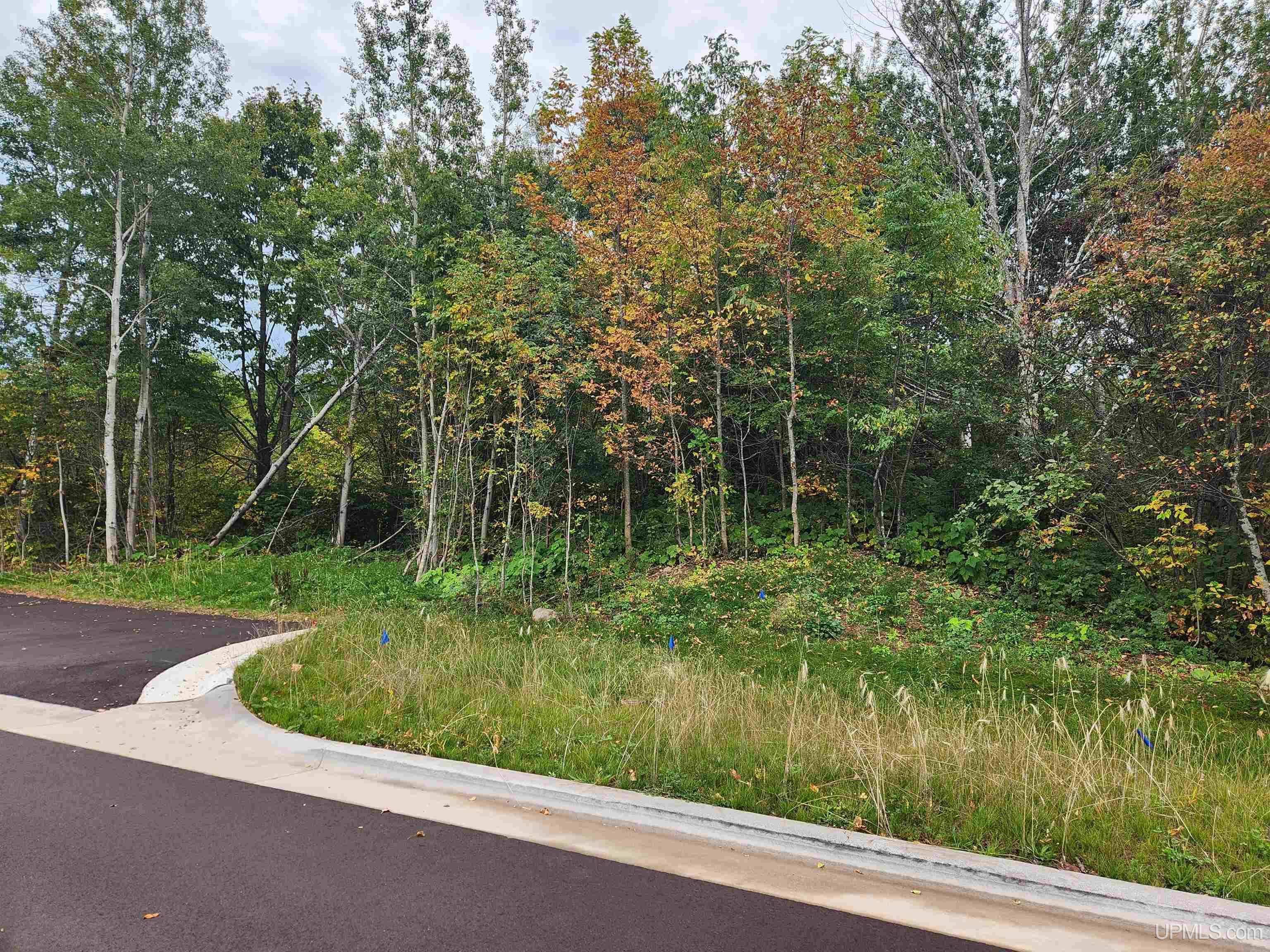 Tbd5 Dolomite Drive Property Photo 35
