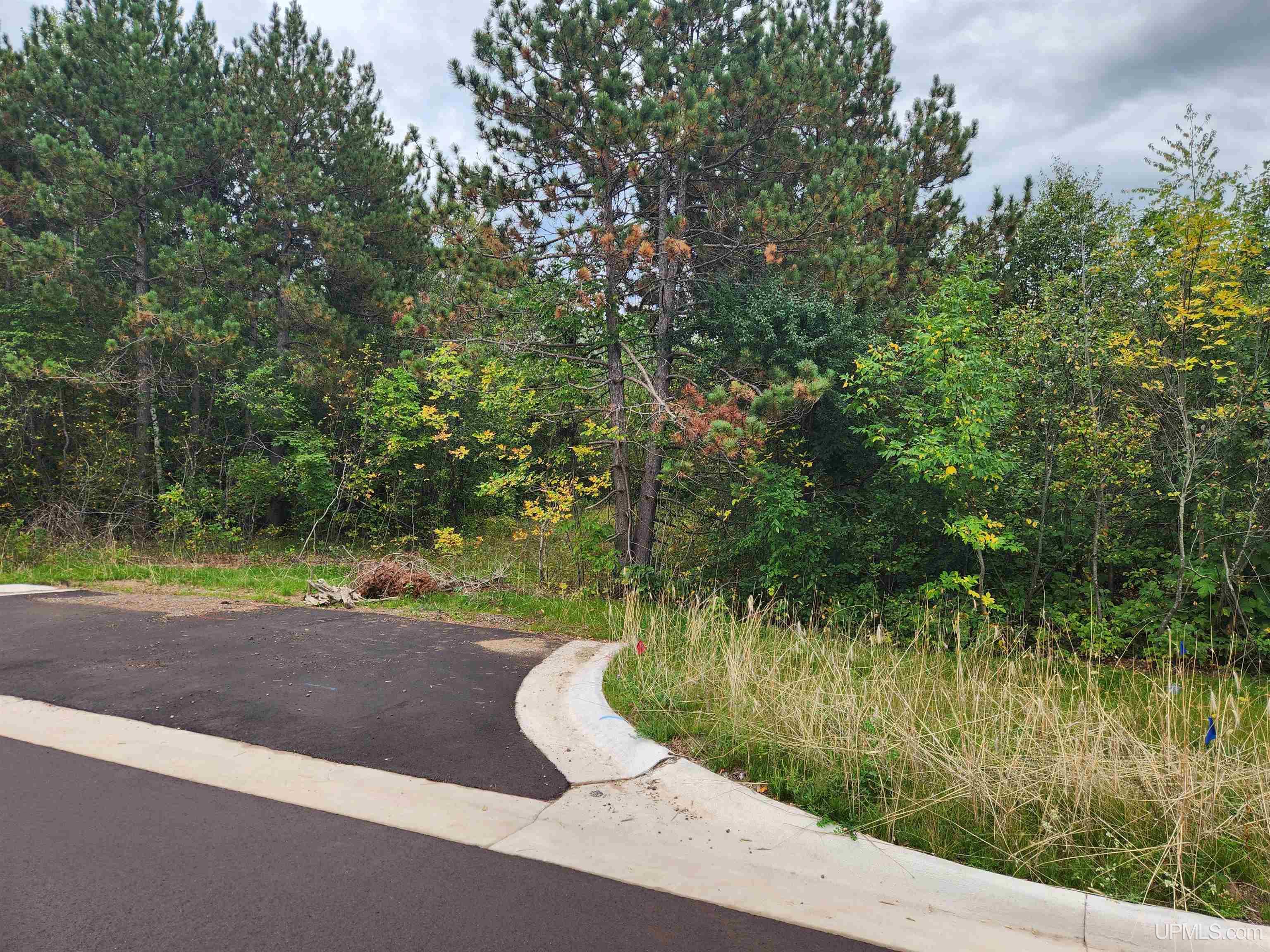 Tbd5 Dolomite Drive Property Photo 39