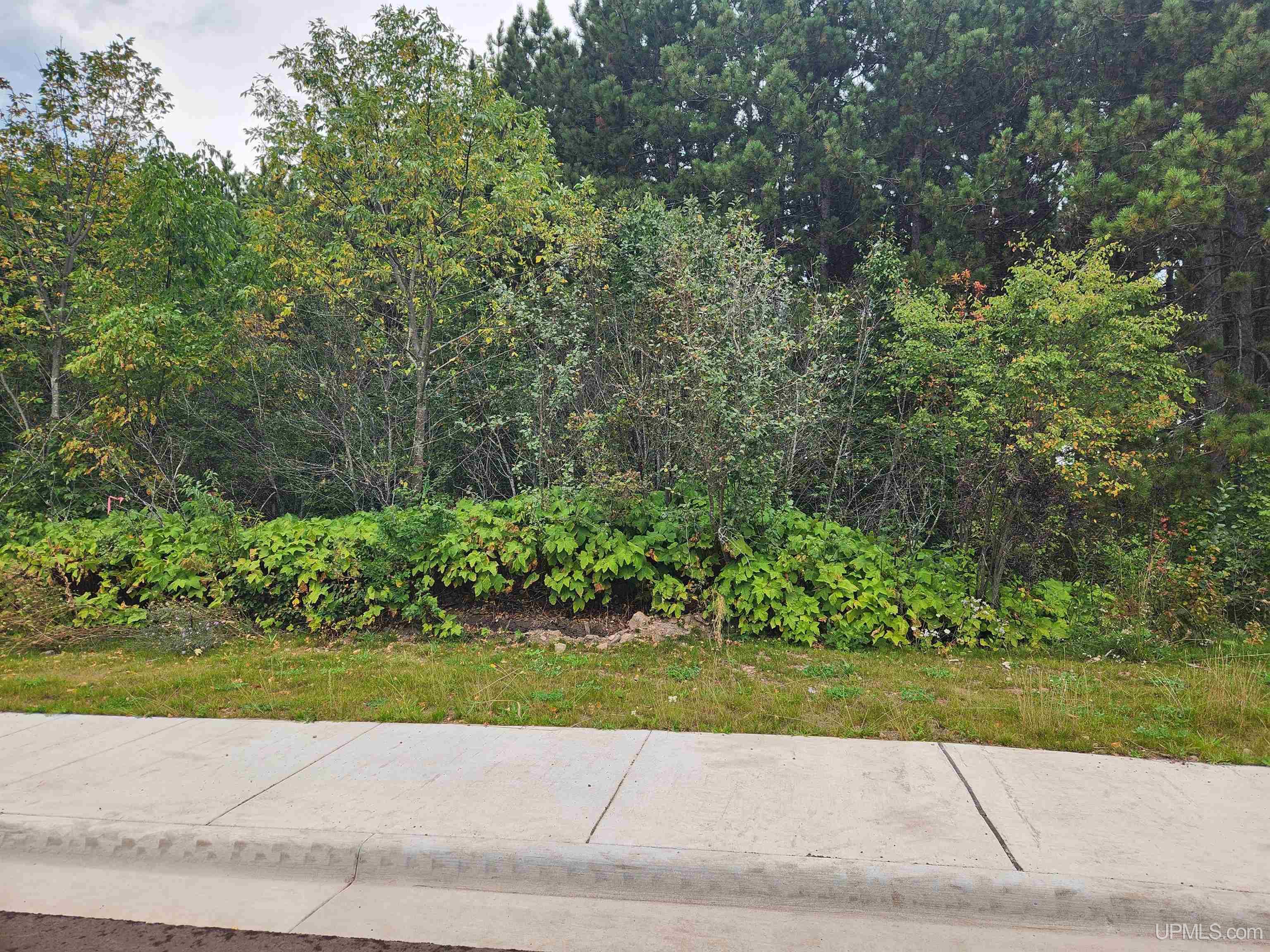 Tbd8 Dolomite Drive Property Photo 35