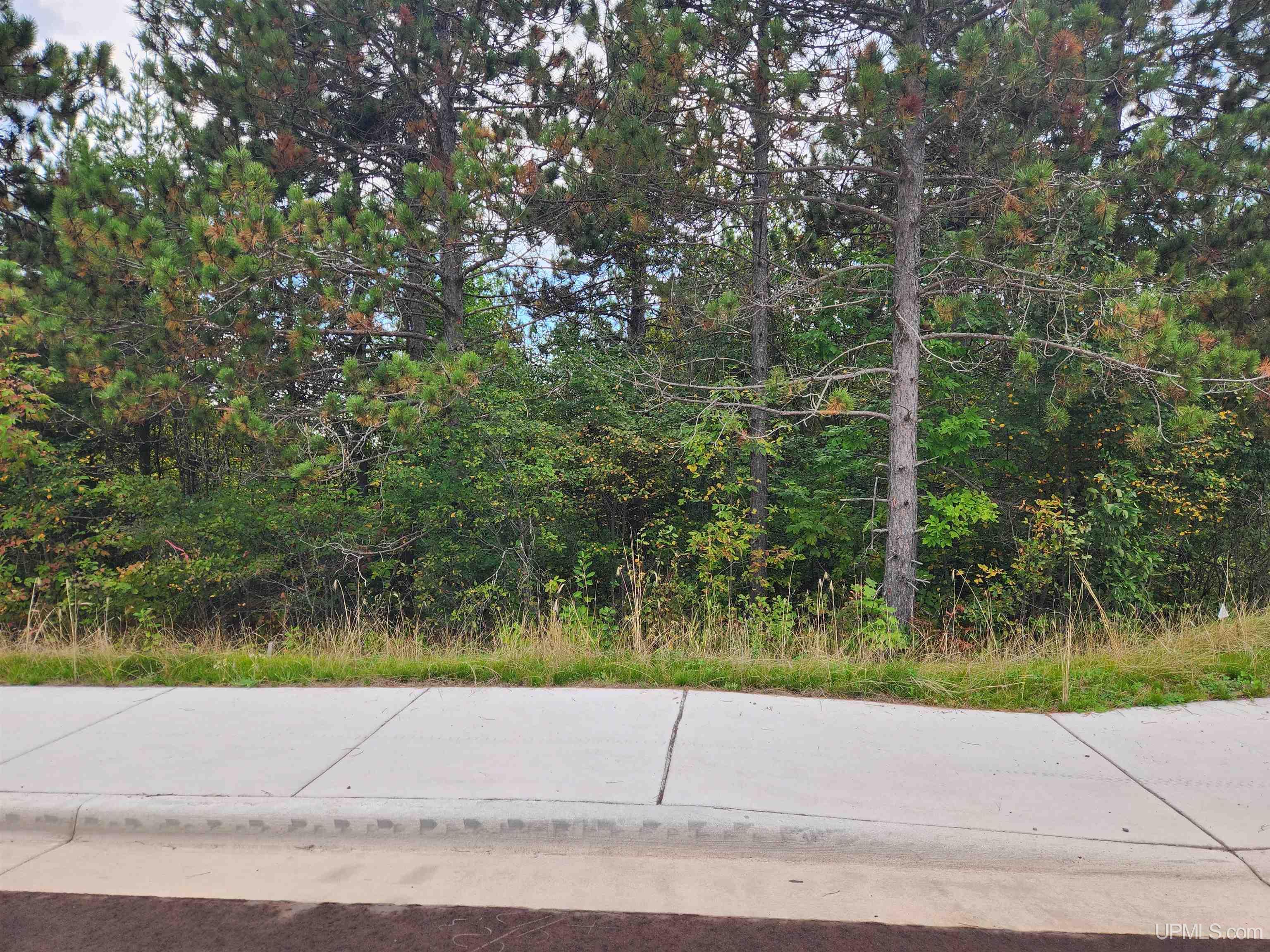 Tbd15 Dolomite Drive Property Photo 32