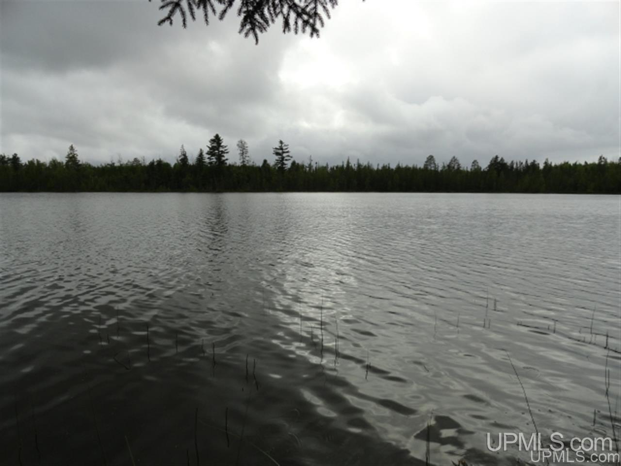 Voelker Lake Road Property Photo 2