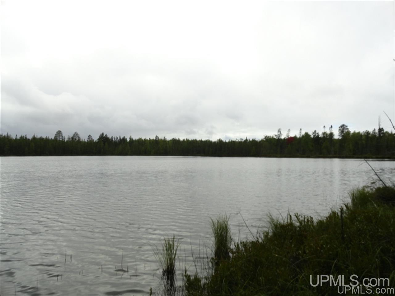 Voelker Lake Road Property Photo 3