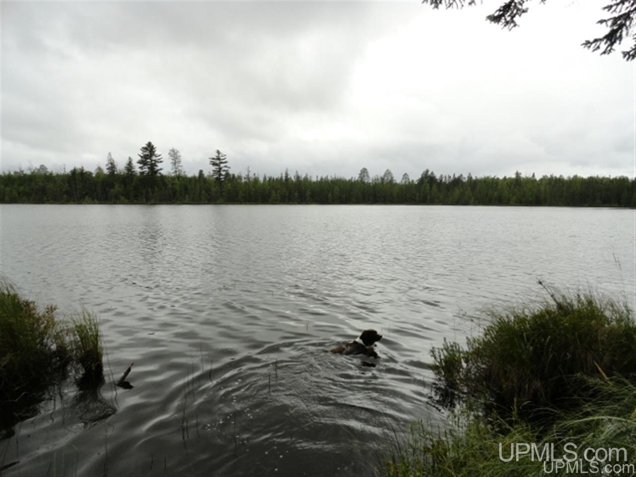 Voelker Lake Road Property Photo 4