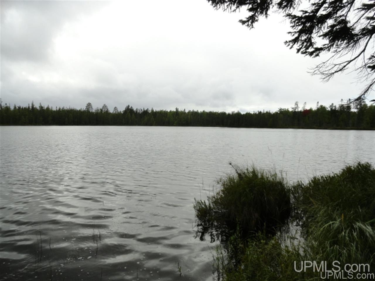 Voelker Lake Road Property Photo 5