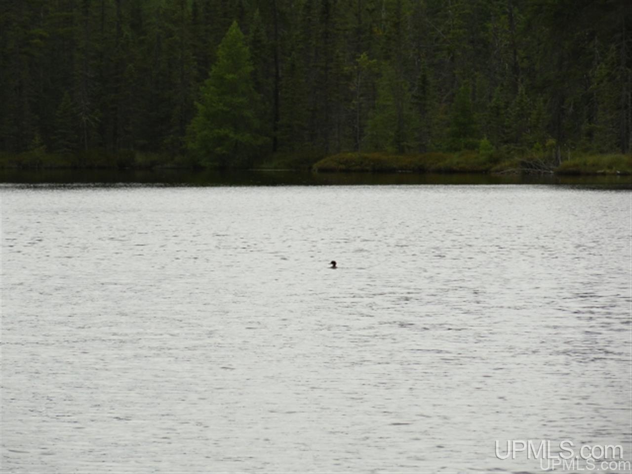 Voelker Lake Road Property Photo 6
