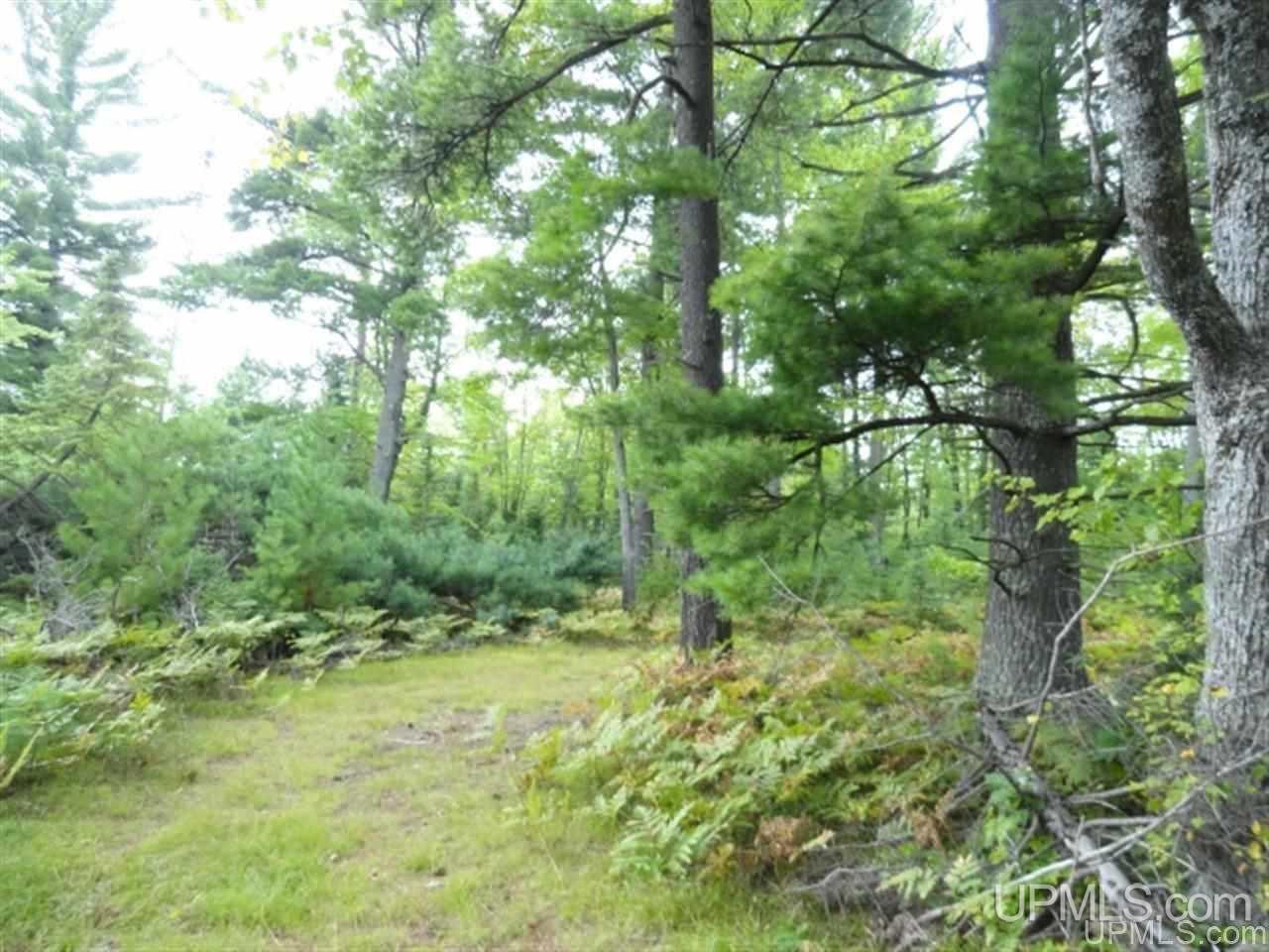 Voelker Lake Road Property Photo 8